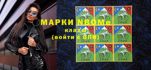 шишки Верея