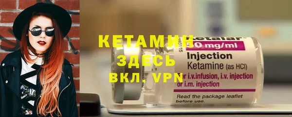 шишки Верея