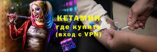 шишки Верея