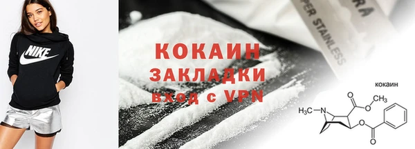 шишки Верея