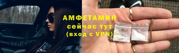 шишки Верея
