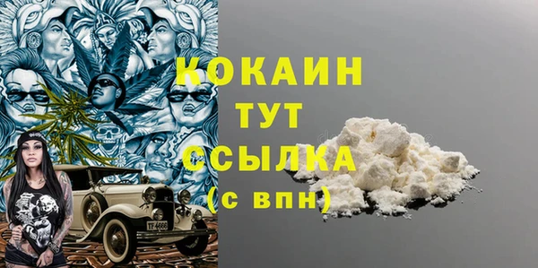 шишки Верея
