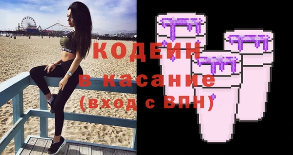 шишки Верея