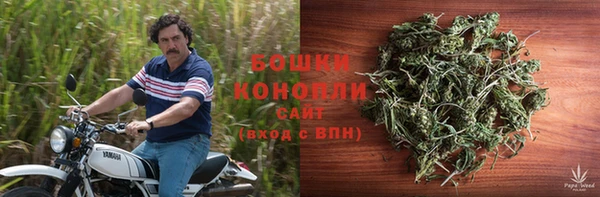 шишки Верея