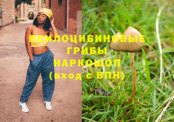шишки Верея