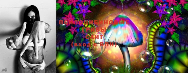 шишки Верея
