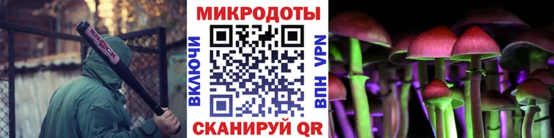 Галлюциногенные грибы прущие грибы  Купить закладки  Сальск 
