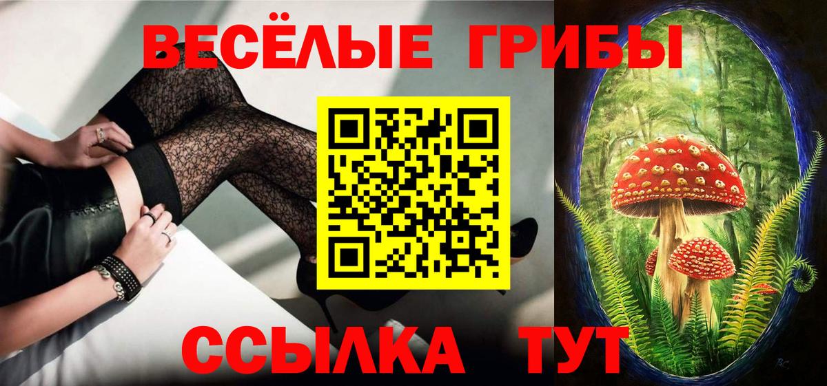 Псилоцибиновые грибы Psilocybe Сальск